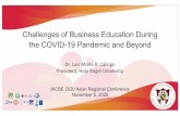 Challenges of Business Education During the COVID-19 ...