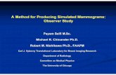 A Method for Producing Simulated Mammograms: Observer Study