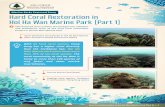 Marine Parks Featured Story Hard Coral Restoration in Hoi ...