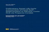 Preliminary Social Life Cycle Assessment of Coral Reef ...
