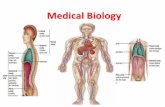 Medical Biology - uoanbar.edu.iq