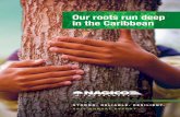 Our roots run deep in the Caribbean - Nagico Insurances