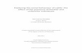 Patison PhD Thesis 2011 - Revised