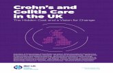 Crohn’s and Colitis Care in the UK