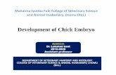 Development of Chick Embryo - MJF Veterinary College