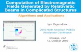 Computation of Electromagnetic Fields Generated by ...