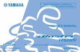 Yamaha Blaster YFS200V Owner's Manual