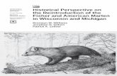 Historical Perspective on the Reintroduction of the ...