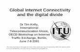 Global Internet Connectivity and the digital divide