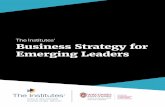 The Institutes’ Business Strategy for Emerging Leaders