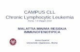 CAMPUS CLL Chronic Lymphocytic Leukemia