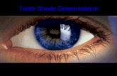 Tooth Shade Determination - Semmelweis