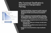 Why Functional Classification is Important to ...