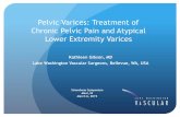 Pelvic Varices: Treatment of Chronic Pelvic Pain and ...