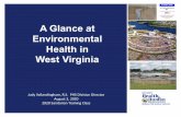 A Glance at Environmental Health in West Virginia