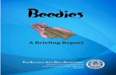 Beedies A Briefing Report