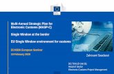 Multi-Annual Strategic Plan for Electronic Customs (MASP-C ...