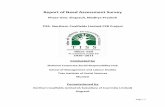 Report of Need Assessment Survey