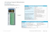 Analog Input Modules