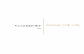 YEAR REPORT GLOCAL PVT. LTD.