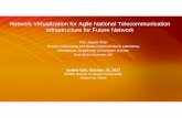 Network Virtualization for Agile National ...
