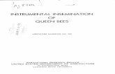 INSTRUMENTAL INSEMINATION OF QUEEN BEES