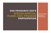 San Francisco Zoo’s SSP’s 2020