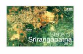 State of Srirangapatna