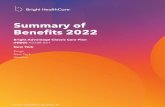 Summary of Benefits 2022