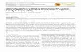 Field and Laboratory Study of Kotal-e Dokhtar 1 and 2 ...