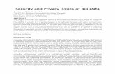 Security and Privacy Issues of Big Data