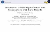 Influence of Global Vegetation on Mid- Tropospheric CO2 ...