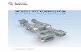 PROCESS GAS COMPRESSORS - Sultrade
