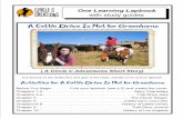 cattle drive is not for greenhorns - Circle C Adventures