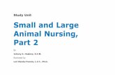 Study Unit Small and Large Animal Nursing, Part 2