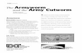 The Armyworm and the Army Cutworm - North Dakota State ...