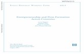 Entrepreneurship and Firm Formation Across Countries