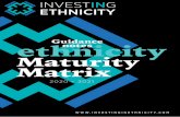 Guidance ethnicitynotes Maturity Matrix