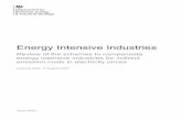 Energy Intensive Industries