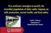 Non antibiotic strategies to modify the microbial ...