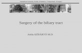 Surgery of the biliary tract - Semmelweis Egyetem