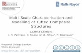 Multi-Scale Characterisation and Modelling of Tufted ...