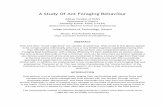 A Study Of Ant Foraging Behaviour - CSE