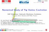 Numerical Study of Tip Vortex Cavitation