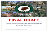 FINAL DRAFT - Collier County, FL | Home