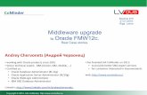 Middleware upgrade to Oracle FMW12c. DBA darbu organizēšana