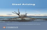 Steel Arising - University of Cambridge