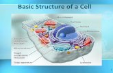 Chapter 3 The Basic Structure of a Cell - Weebly