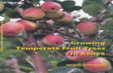 Growing Temperate Fruit Trees in Kenya Growing in Kenya