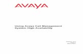 Using Avaya Call Management System High Availability